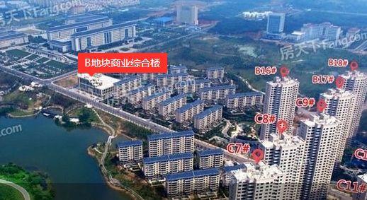 九江市碧桂园，家的温馨日常与友情纽带最新消息