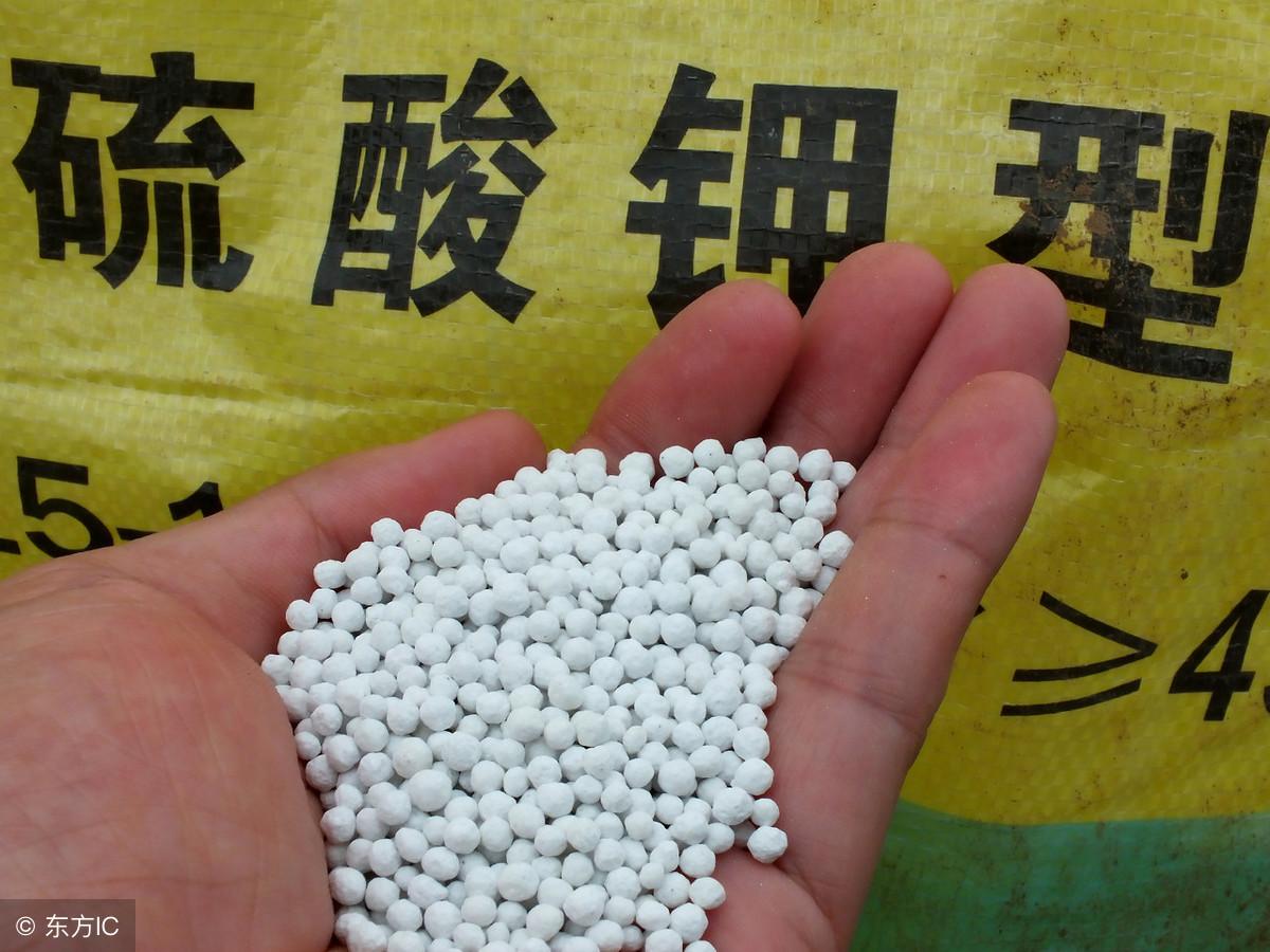 氯化钾肥价格行情最新动态，价格表、市场走势分析与预测