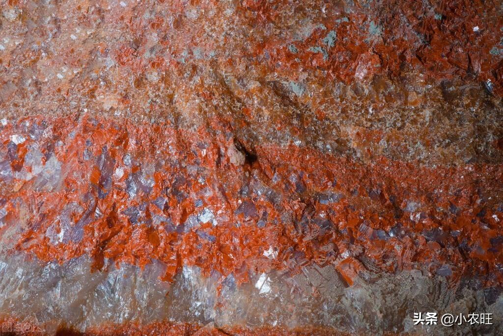 氯化钾肥价格行情最新动态,价格表、市场走势分析与预测