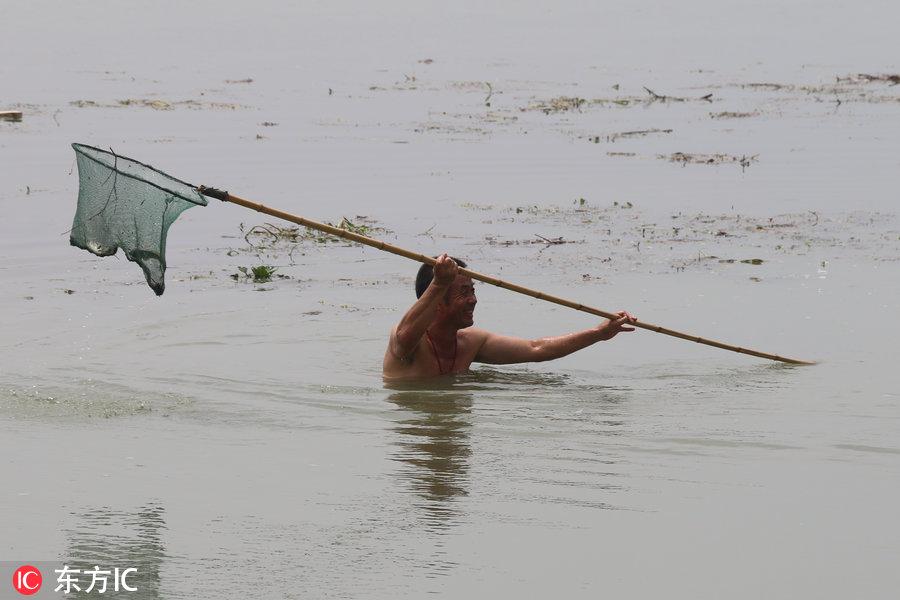 淮河入海道二期工程最新进展报告揭秘,建设进展顺利!