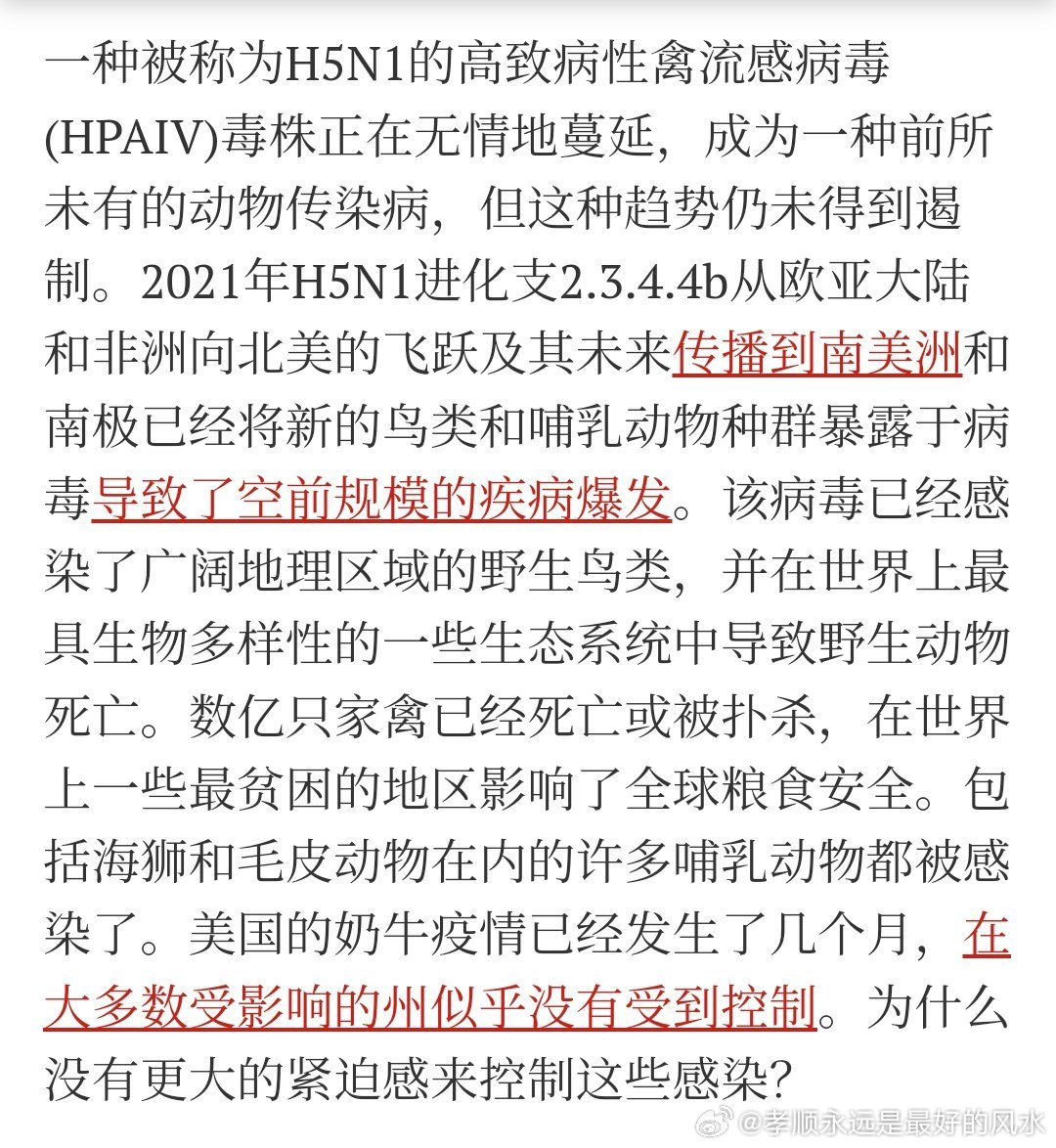 H1N9禽流感最新动态与温馨日常故事简报