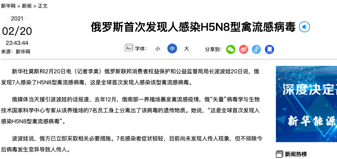 H1N9禽流感最新动态与温馨日常故事简报