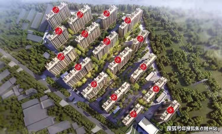 1月21号善友汇最新动态更新