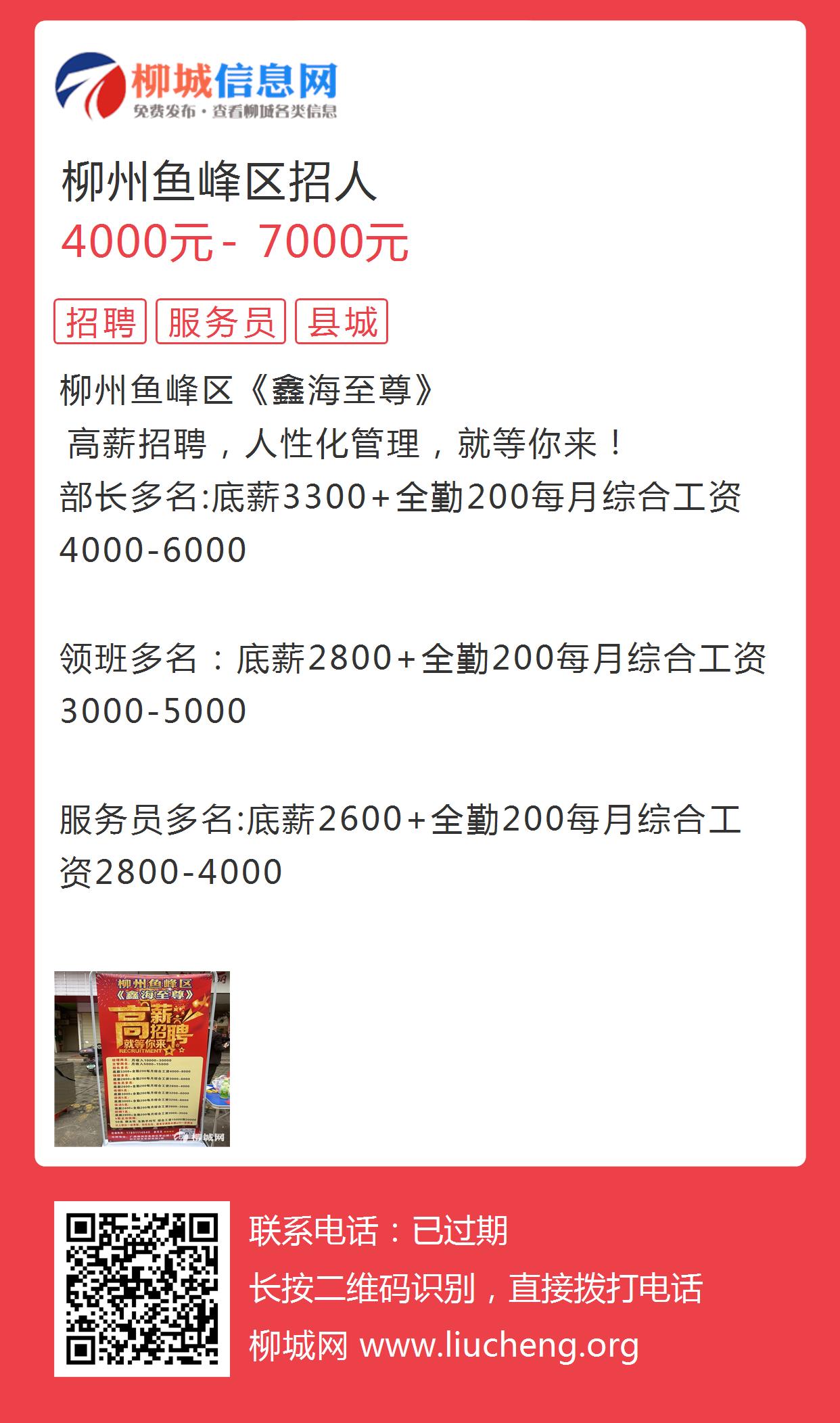 株洲民企人才网最新招聘信息探秘，小巷深处的职场宝藏