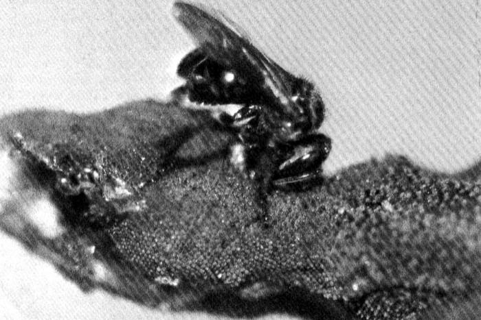 科学家最新发现重塑生活体验——未来之眼科技产品命名揭晓