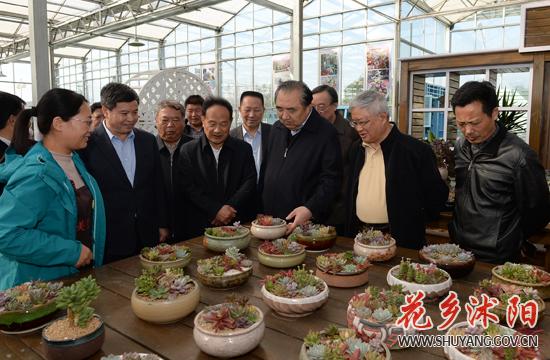 一行三会合并最新动态，金融监管格局重塑的新篇章