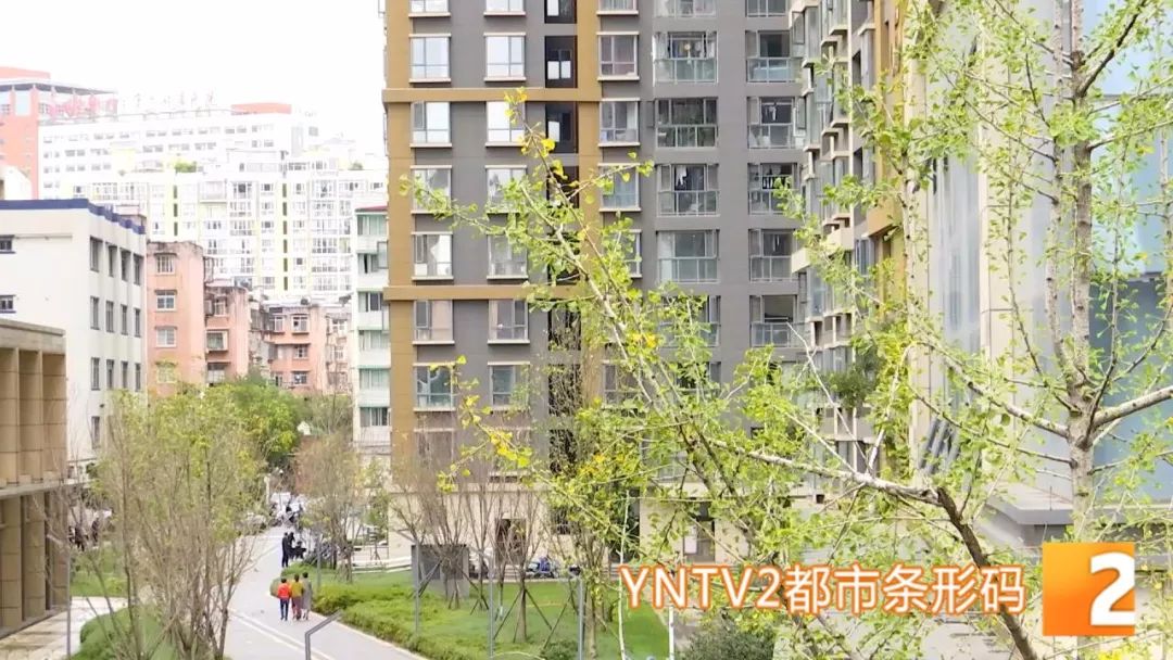 武乡最新一周二手房市场动态，家园变迁与自我成就的学习之路
