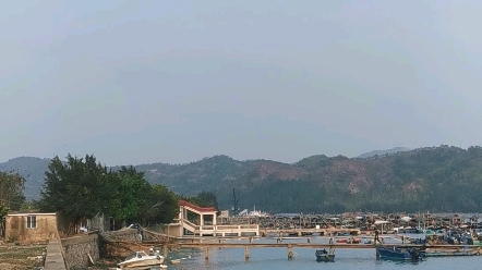 陆丰乌坎最新消息，微博实时更新