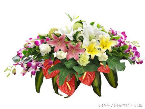 最新平安福十全十美图——科技与生活之美融合展现