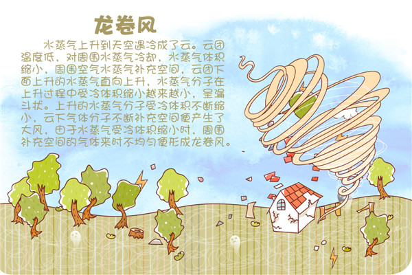 一天中最清新的空气时刻,自然之息的馈赠 🌿🍃