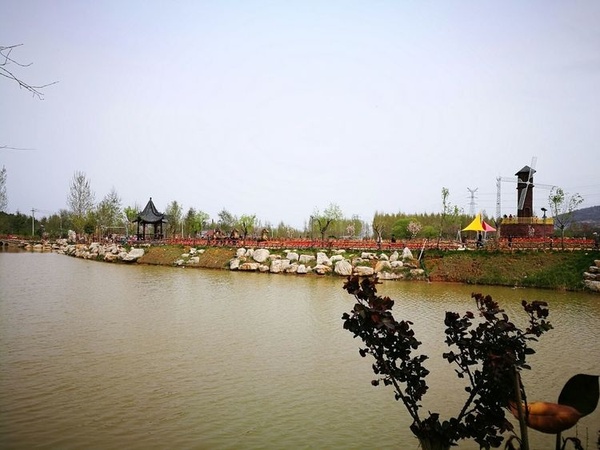 枣庄莲花山生态园最新动态揭秘🌳🌷