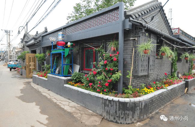 关于甲型H7N9的最新新闻指南,获取与理解信息的指南及2025年最新动态