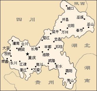 第五个直辖市的阳光早晨，小强与友们的温馨趣事，感受爱与陪伴的力量。
