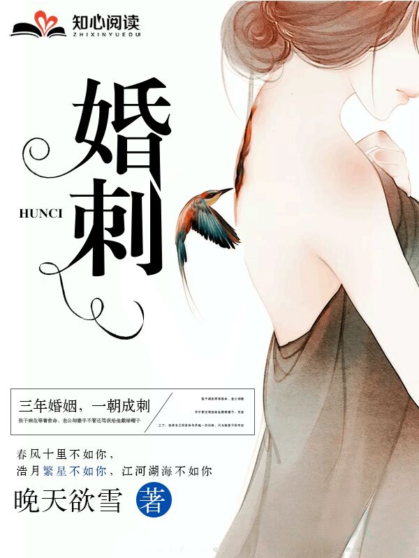 神婿叶凡唐若雪免费全文最新版的多维度观点分析。