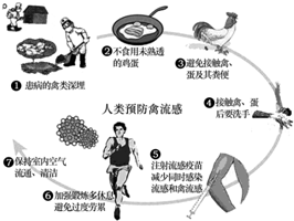 河南H7N9最新动态，四月份防控进展、知识普及与应对策略更新