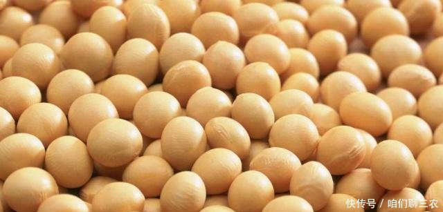 黑龙江大豆最新收购价格表——科技智慧引领农业未来