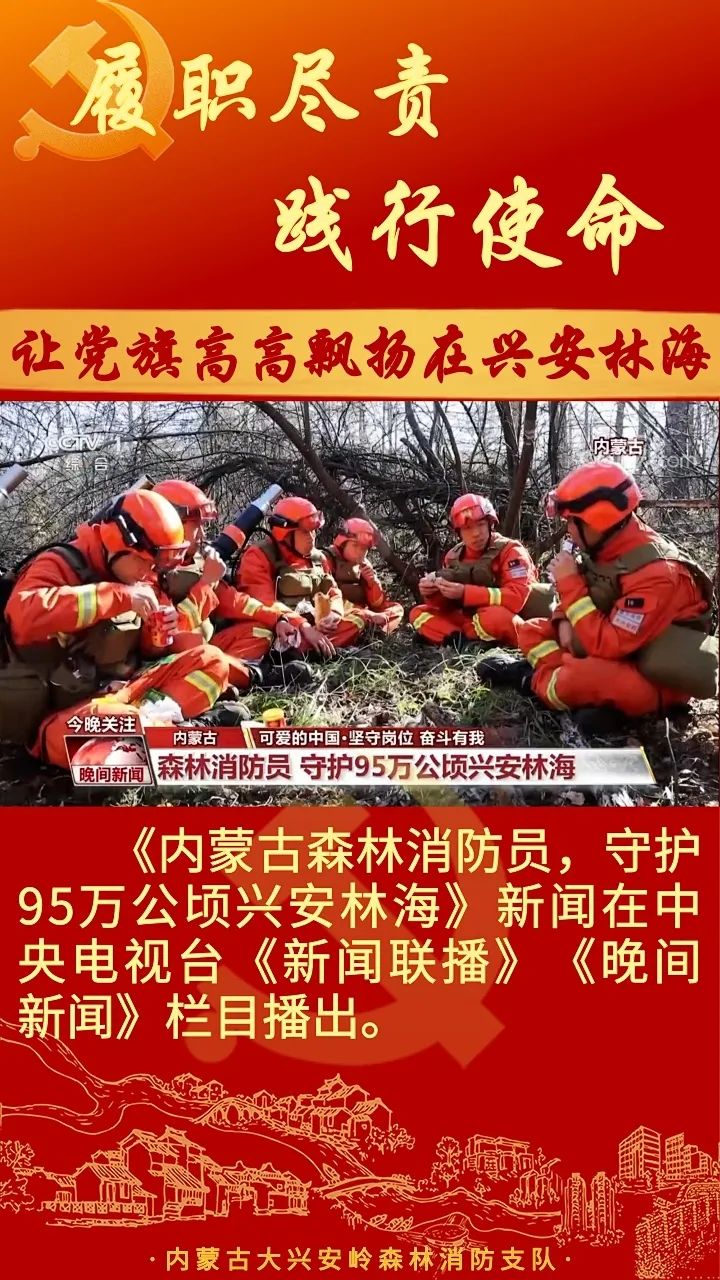内蒙古大兴安岭火灾最新动态，科技守护绿色家园