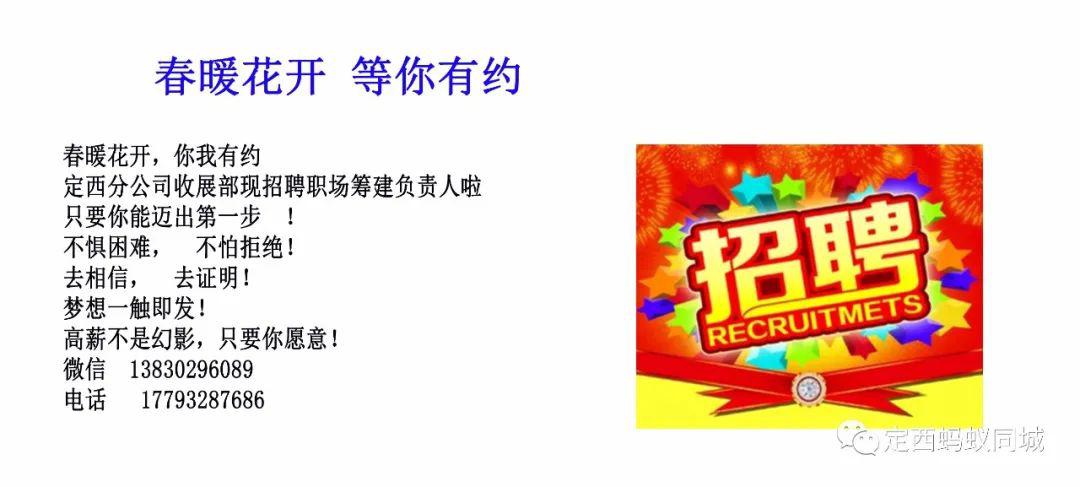 定西最新招聘信息，与自然共舞，启程寻找内心宁静之旅