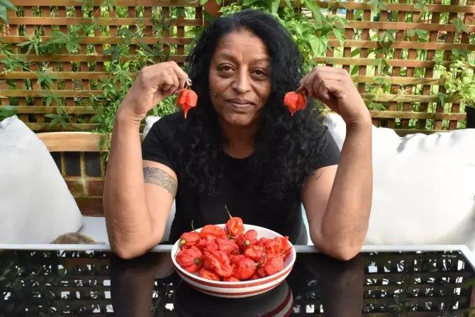 最新辣椒的秘密传奇故事揭秘