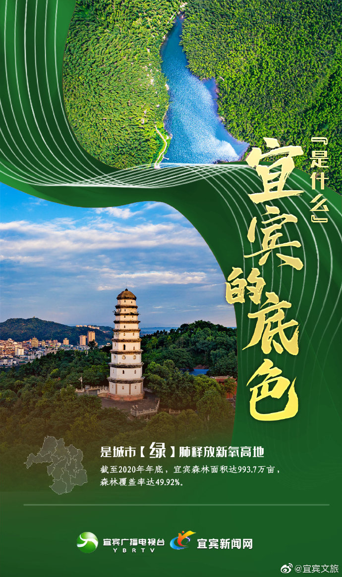 宜宾最新发展动态及其影响深度解析