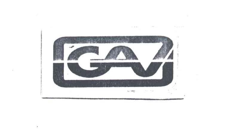 Gav最新观点论述解析