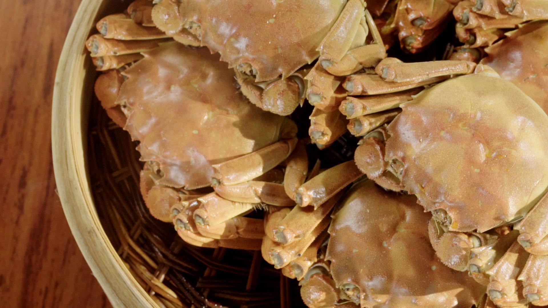 最新冰激凌制作步骤指南,从零开始制作美味冰激凌的秘诀