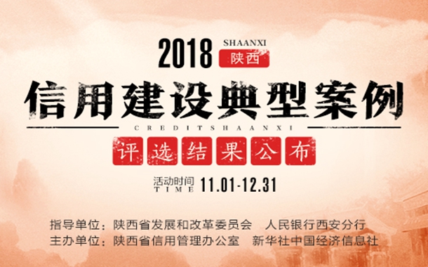 最新诚信案例深度论述,诚信的力量与实践典范