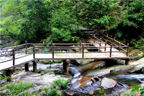 最新旅游项目揭秘，探索未来的旅行体验