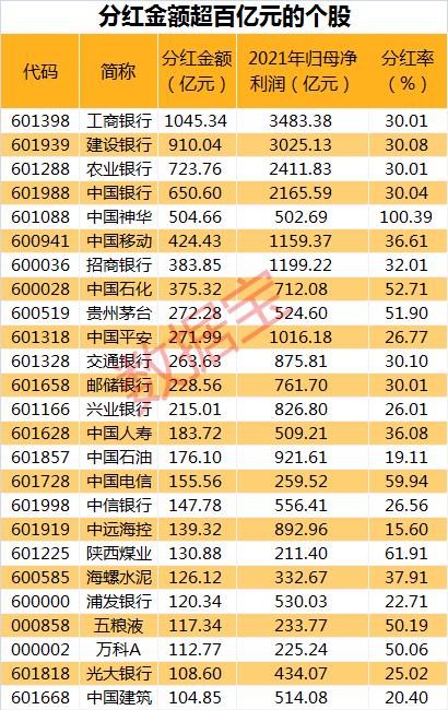 科技引领投资新时代，最新股票视频解析