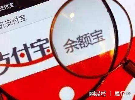 最新理财风险揭秘，小明的投资奇遇与家的温馨守护之路