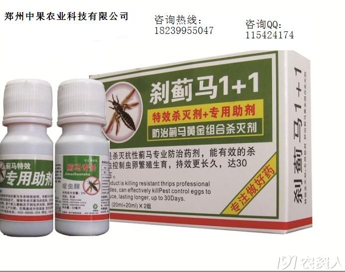 第549页