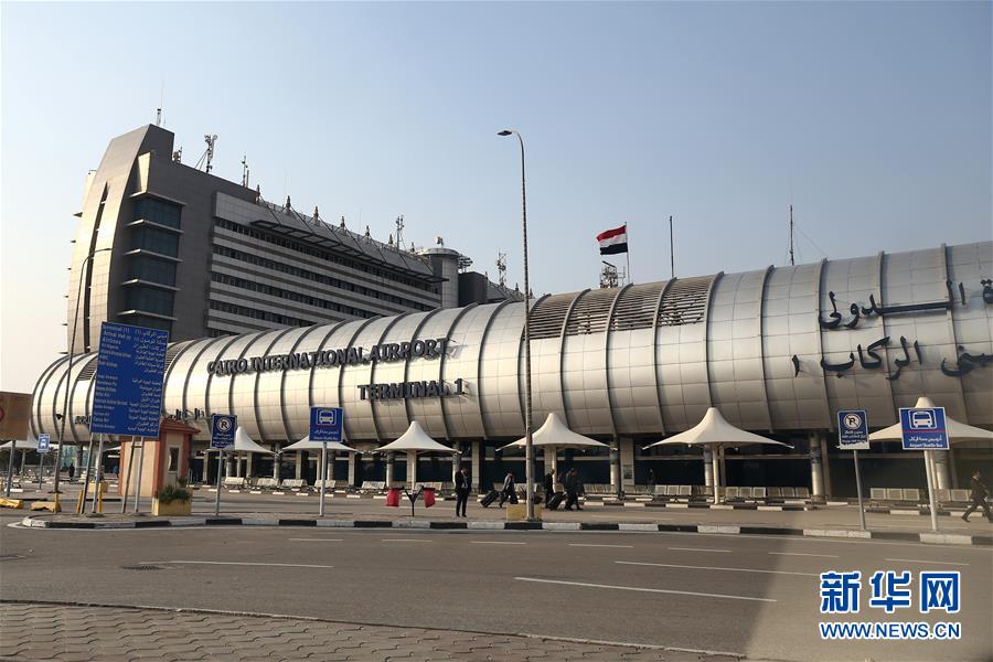 埃及机场重逢，李明与小张的开罗之旅充满欢笑与感动