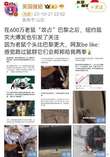 警惕网络背后的黑暗角落，虐鼠群最新动态曝光！