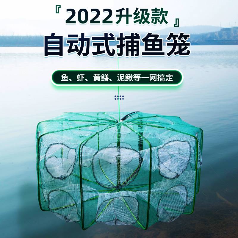 小巷隐秘宝藏，探索最新网箱养鱼乐园