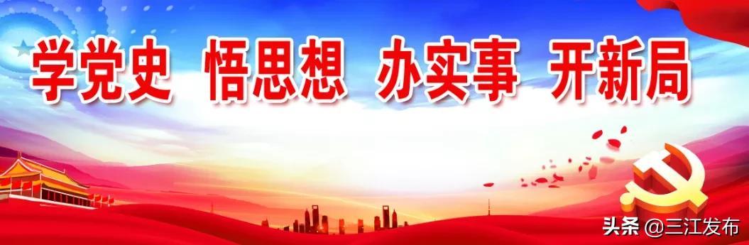 侗语传承与演变，最新侗语的发展动态