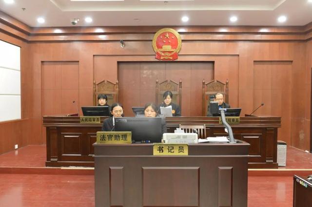 济阳最新案件深度解析，真相探究与揭秘