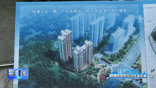 疫情安置最新动态及应对策略，案例分析与深度观察