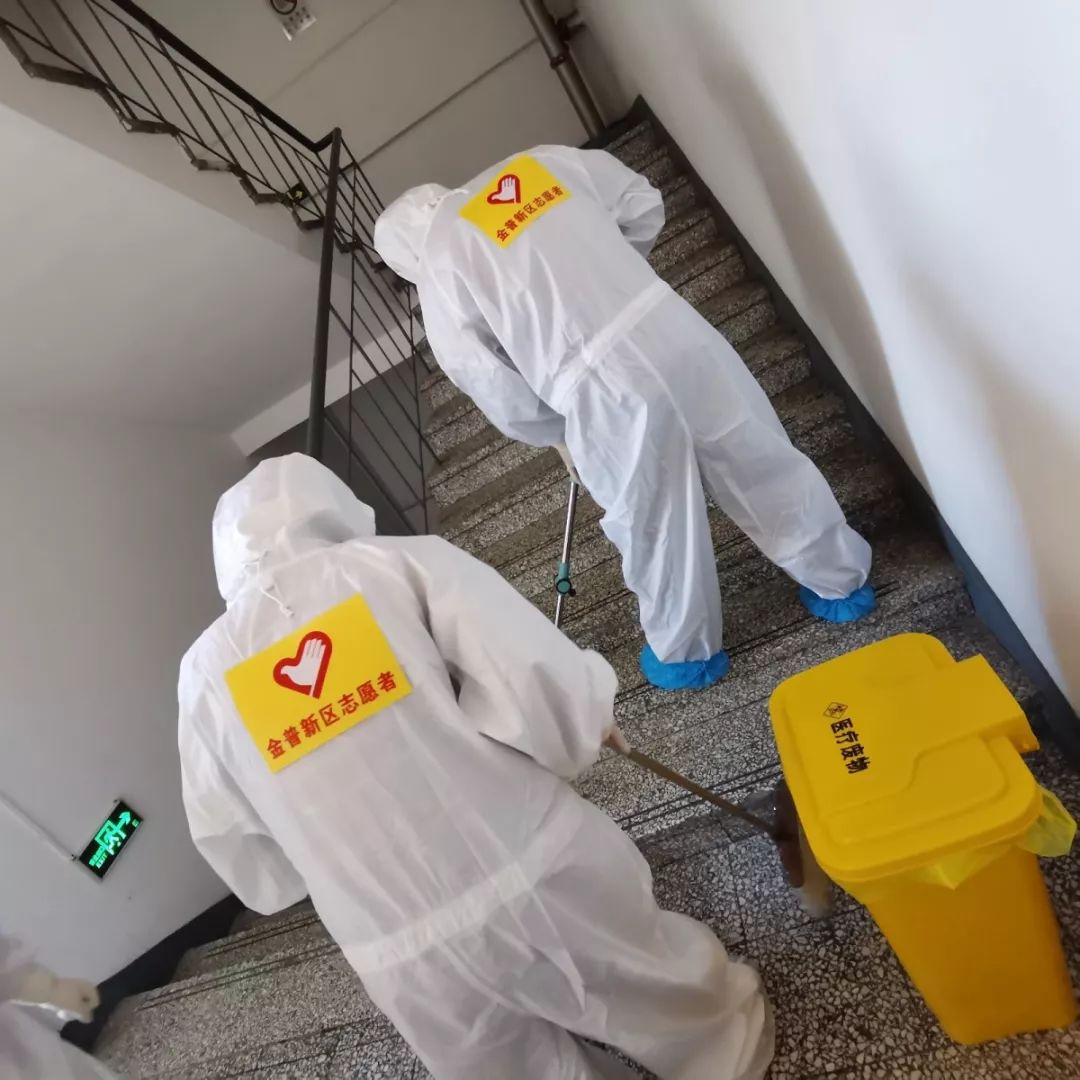 疫情安置最新动态及应对策略,案例分析与深度观察