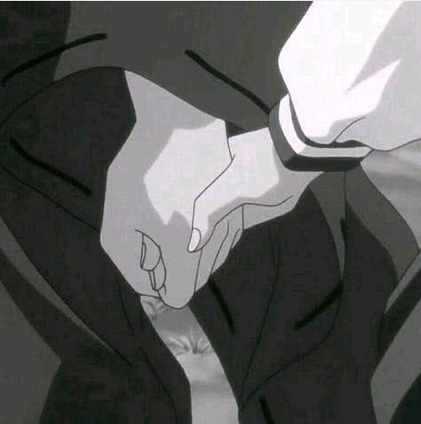 最新丧图背后的温馨日常趣事揭秘