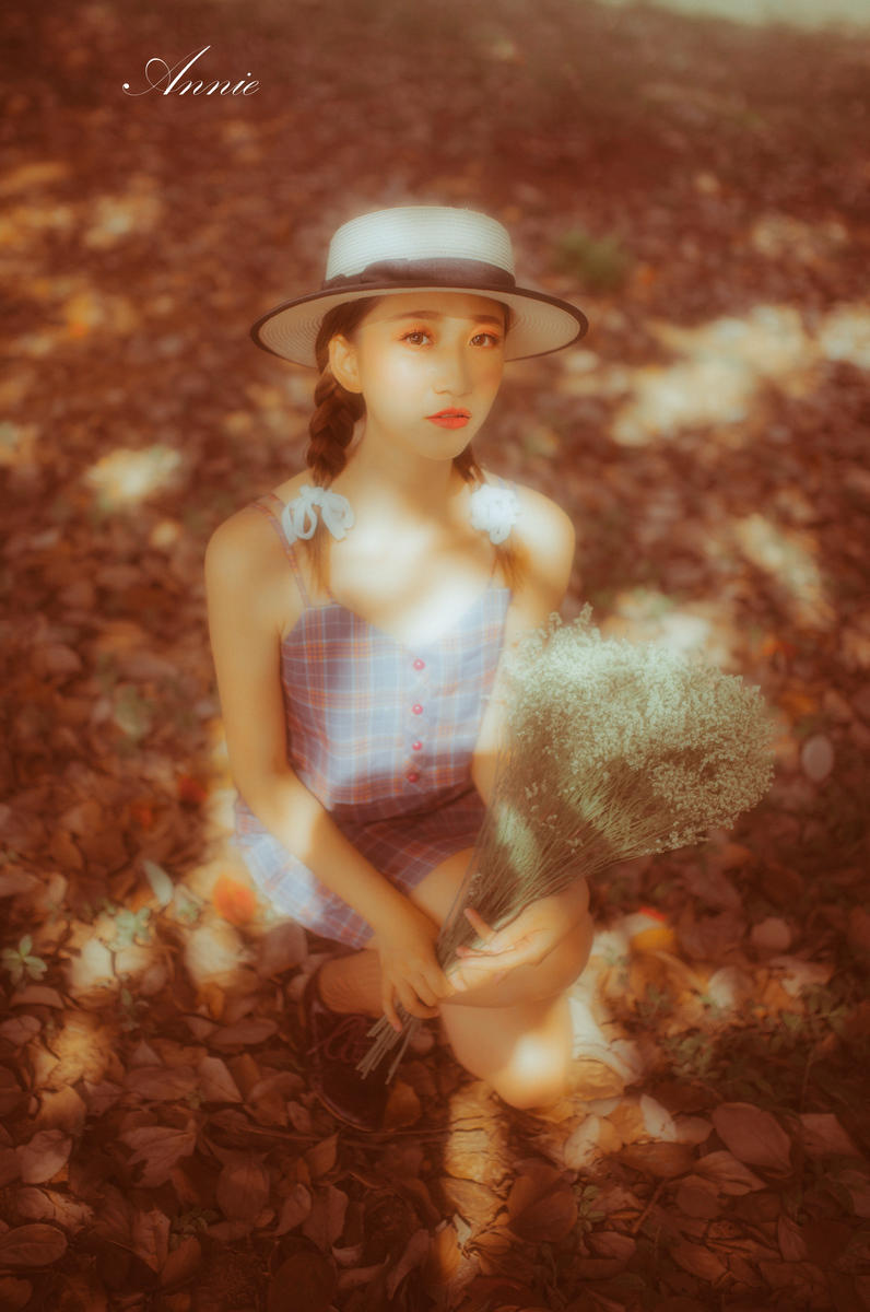 玫玖最新,自然美景探索之旅