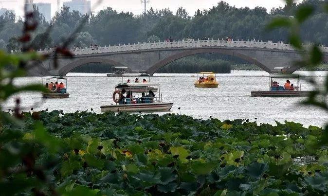 北京春日踏青最新指南，欢乐足迹尽享春光