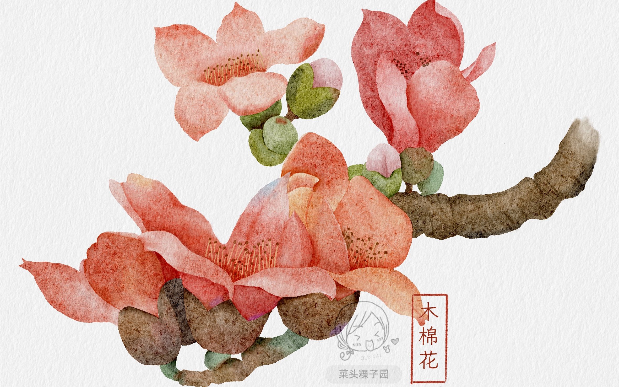 HP木棉最新特色小店，小巷中的隐秘宝藏，独家探访木棉特色新发现