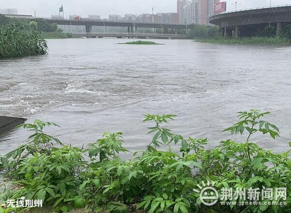 彭泽最新汛情深度解析与前沿观察