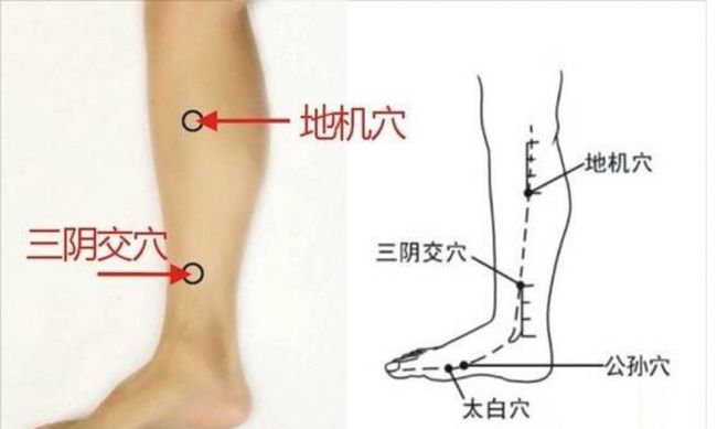 地机最新揭秘，小巷特色小店的独特魅力