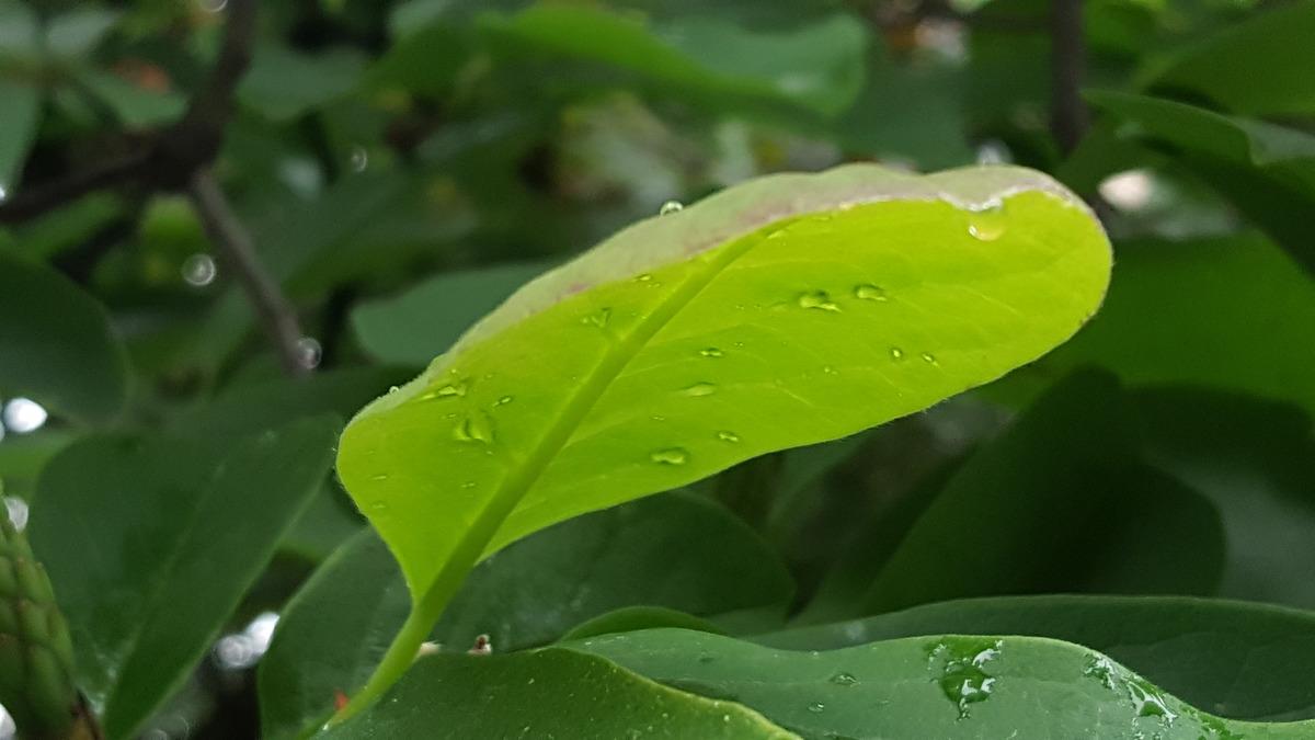 志哥最新引领潮流风尚，前沿先锋独家报道