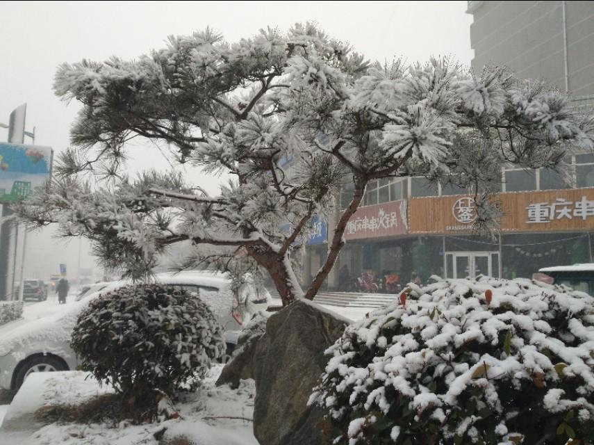 最新大雪纷飞，城市如何应对雪落之景的挑战