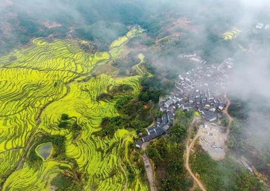 婺源最新新闻,日常趣事与朋友间的情感纽带分享