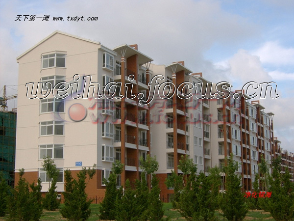 天海最新动态及任务完成/技能学习步骤指南