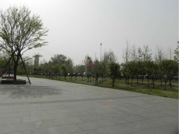 聚焦乐亭发展，探寻时代变迁，乐亭吧最新热议内容速递