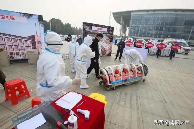 南阳最新疫情观点论述概述